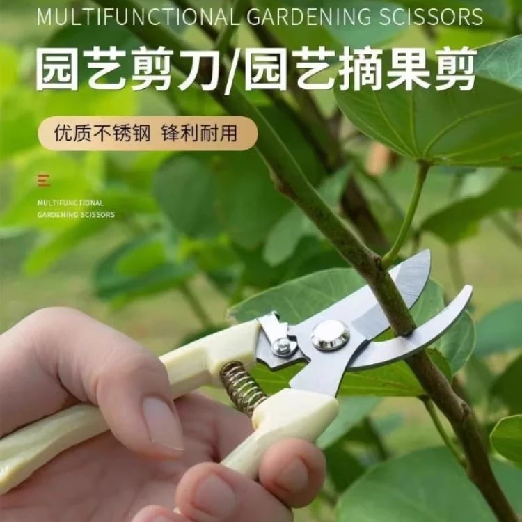 园艺剪刀修枝剪修剪树枝果树剪园林花卉省力防滑专用强力花艺剪子
