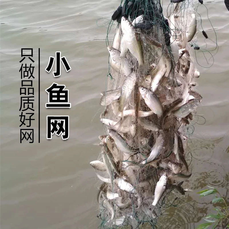 渔网粘网白条餐条专用小鱼网丝网三层单层沉网浮网捕鱼网半指1指