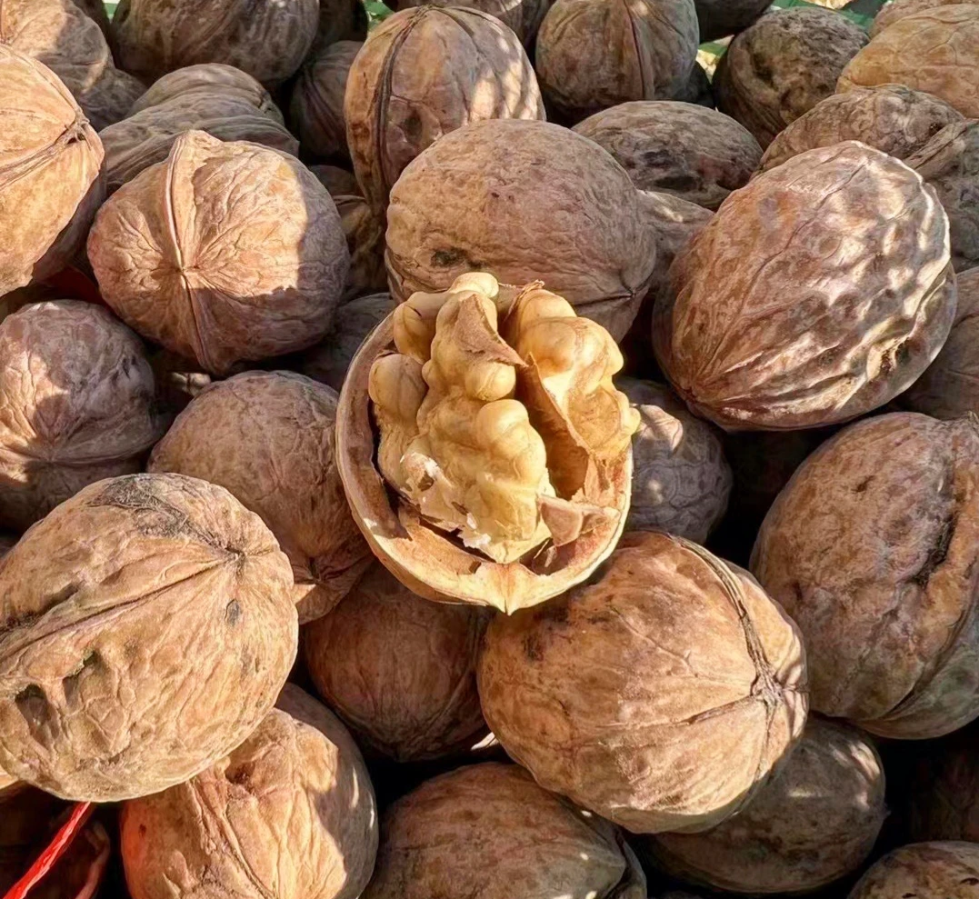 〖成城甄选〗陕北山地核桃