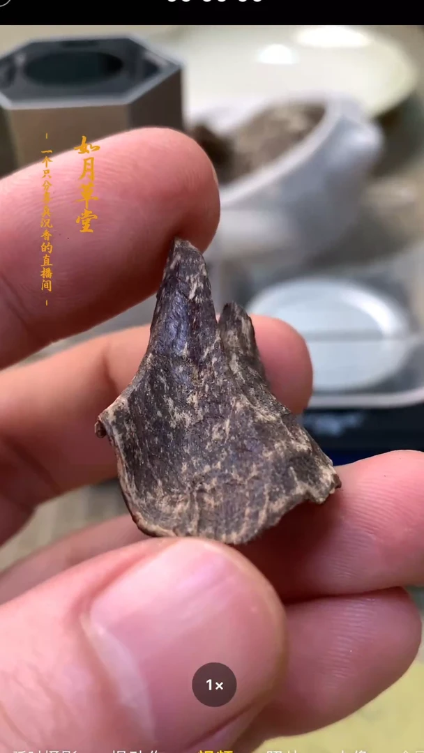 【闪购商品】沉香摆件沉水尖峰岭0.63克