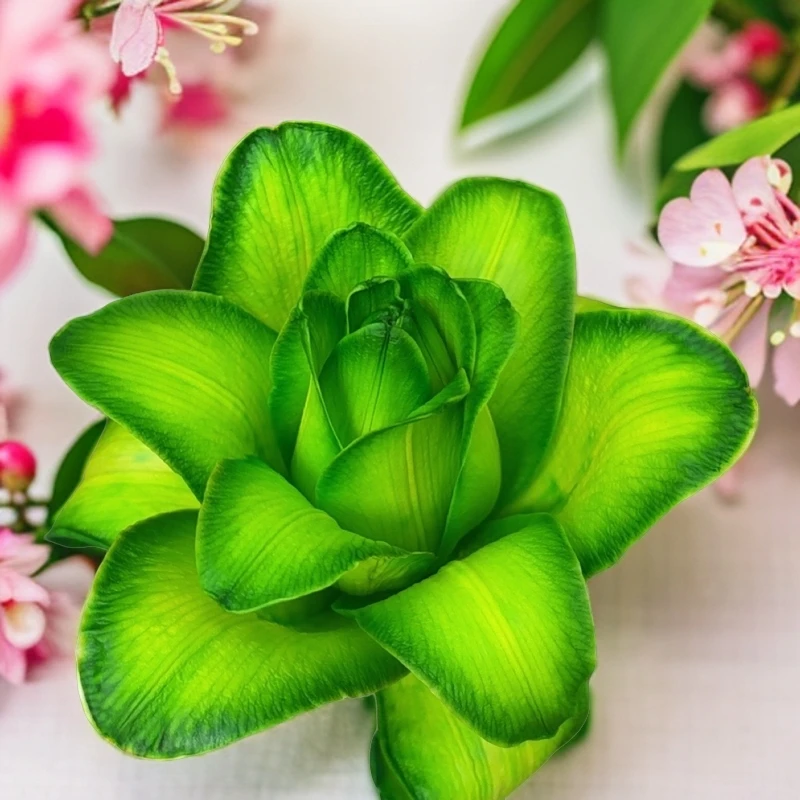 绿叶星空重瓣香水百合鲜切花云南昆明基地直发日常教师节中秋水养