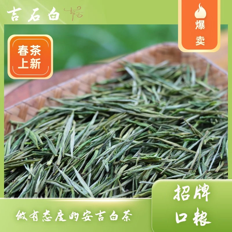 2024年新茶【招牌口粮】吉石白安吉白茶石角产区