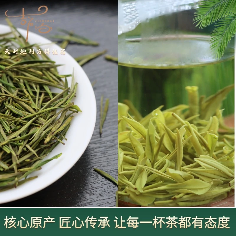 开播2024年吉石白安吉白茶新茶明前兰香绿茶春茶