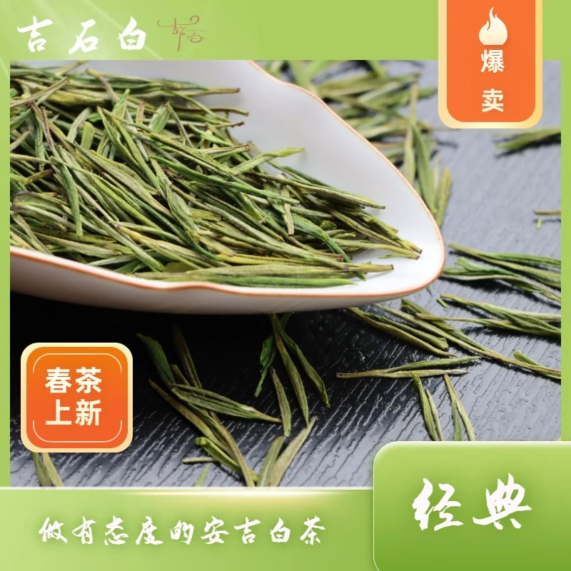 2024年新茶【经典】吉石白安吉白茶石角产区