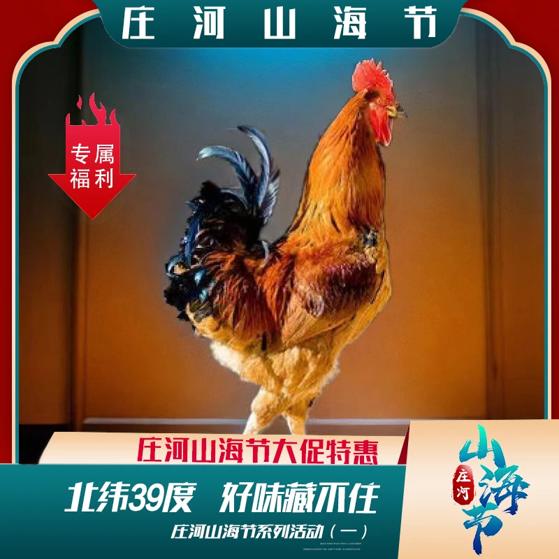 村民散养跑山庄河大骨鸡（净重5斤以上）包邮（辽宁省内）