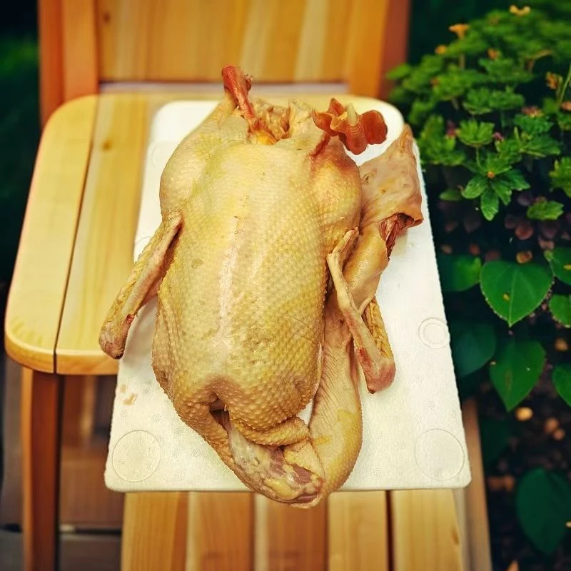 【玉儿专属】庄河塔岭农户散养大白鹅  省内  包邮