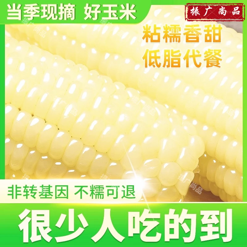 振广尚品东北糯玉米粘白玉米棒真空装大棒200g以上粘苞米软糯香甜