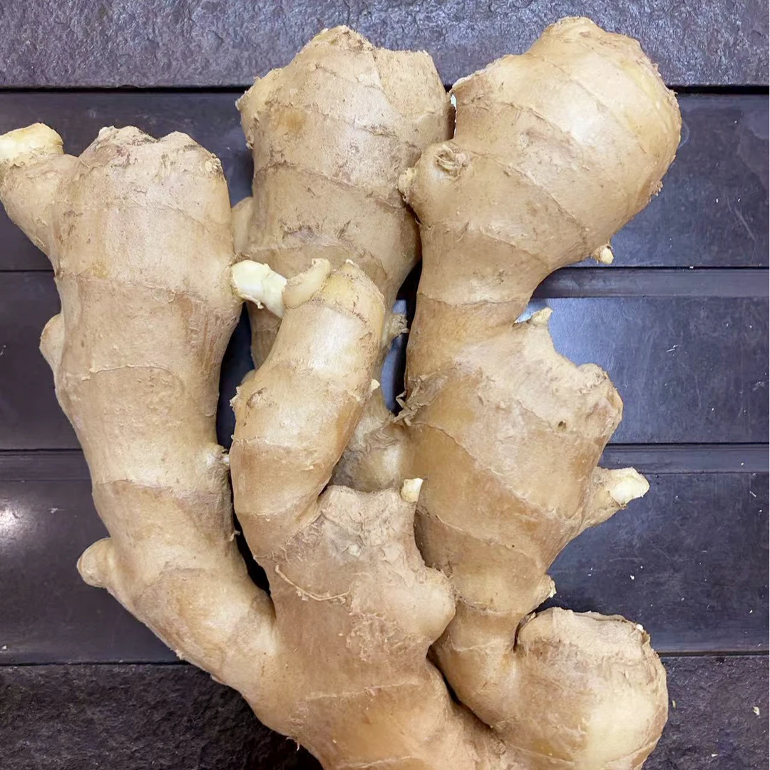 正宗山东大黄姜 新鲜风干姜 姜香味浓郁 辛辣味十足
