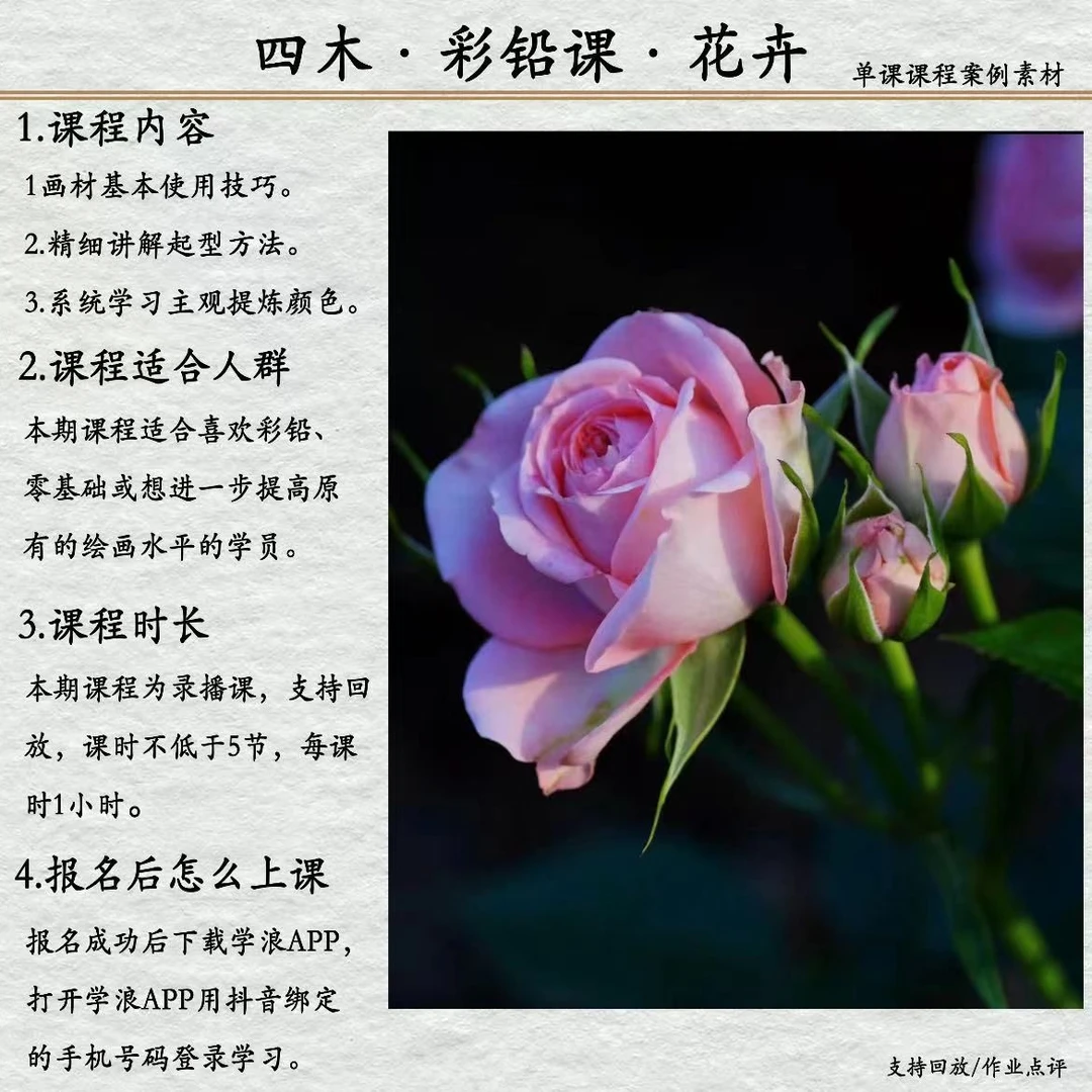 四木彩铅-花卉-单课