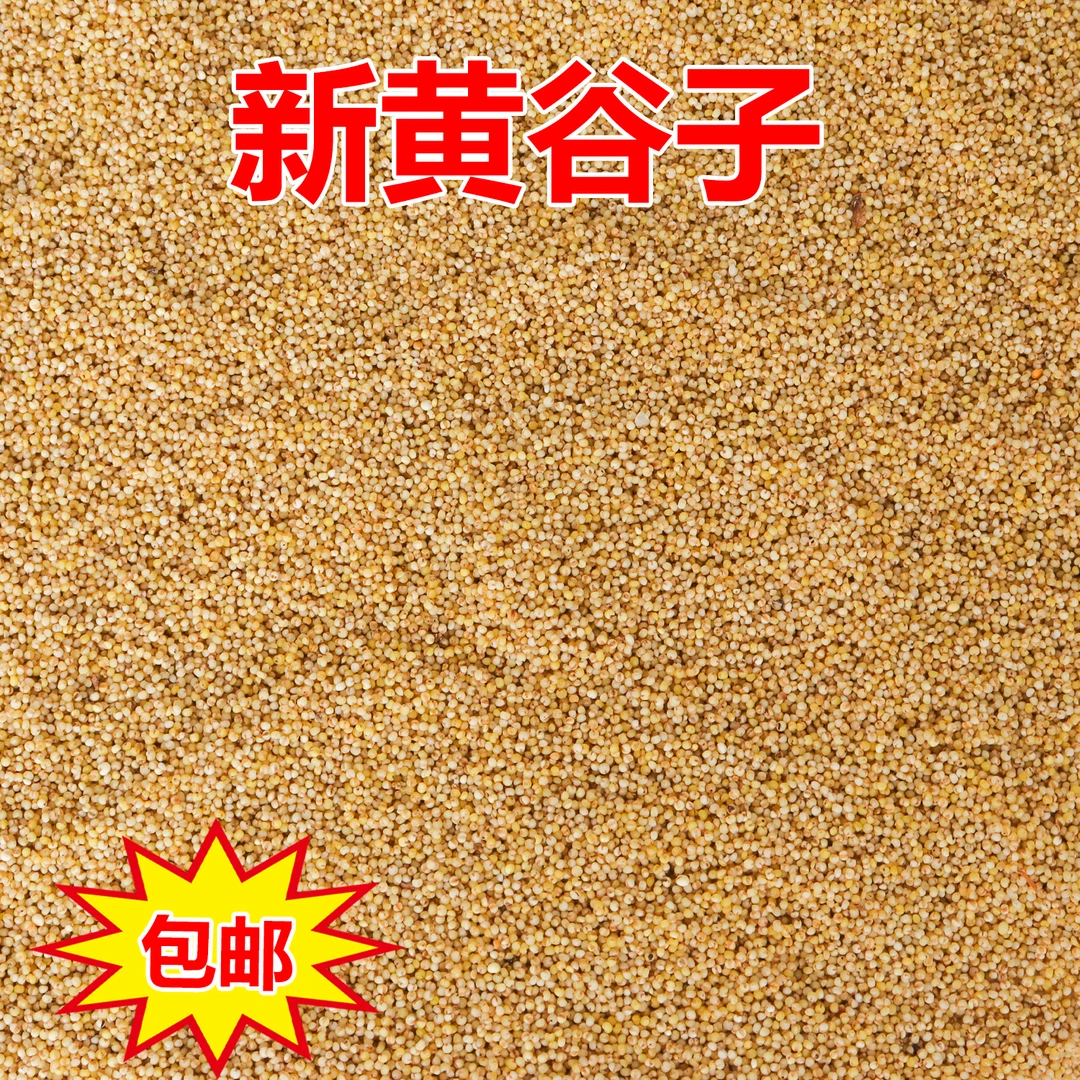 2024新黄谷子虎皮玄凤牡丹食物粮食中小型鹦鹉饲料鸟粮食带壳小米