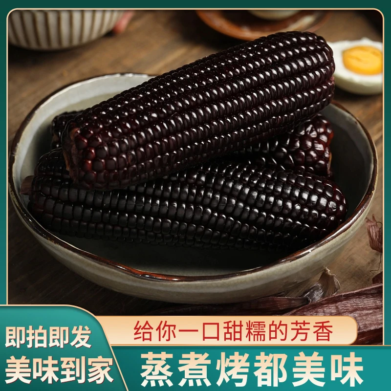 东北特产真空包装黑糯玉米拍8送2共10根整箱2200g
