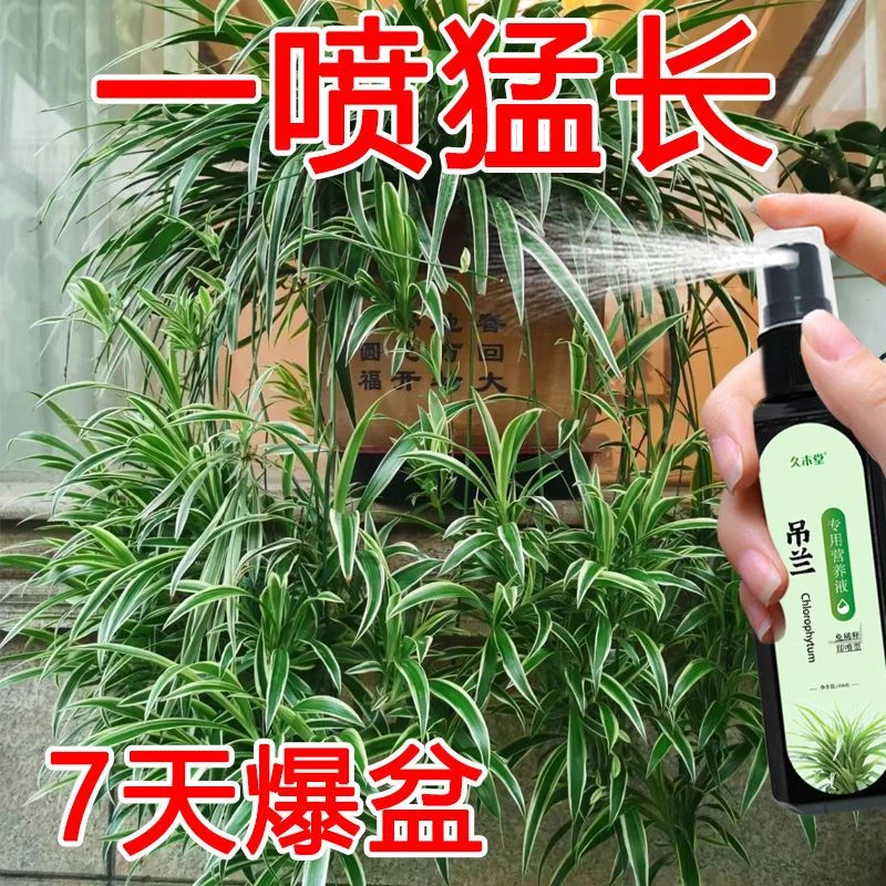 【一喷疯长】吊兰专用营养液促生长防黄叶催绿生根免稀释盆栽肥料