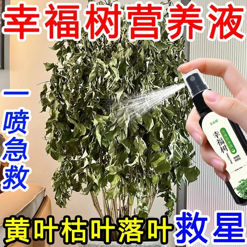 【一喷急救】幸福树专用肥一喷绿花肥黄叶落叶复活盆栽植物营养液