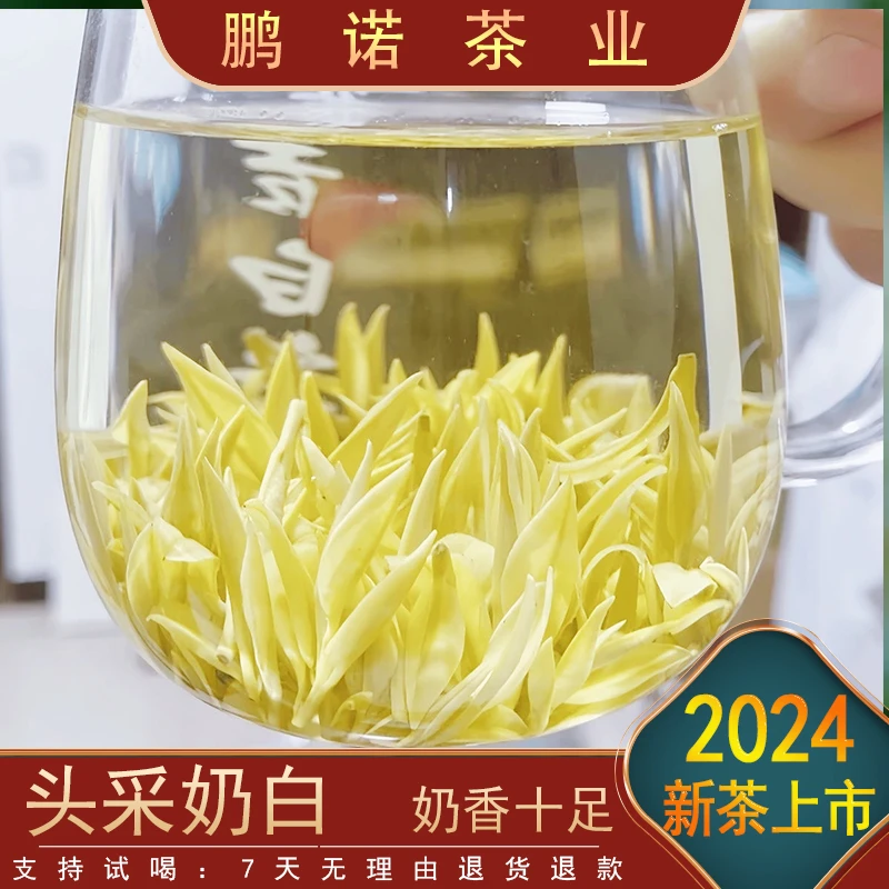 【头采大熊猫奶香黄金芽】2024新茶N1 鲜香嫩滑 品质推荐