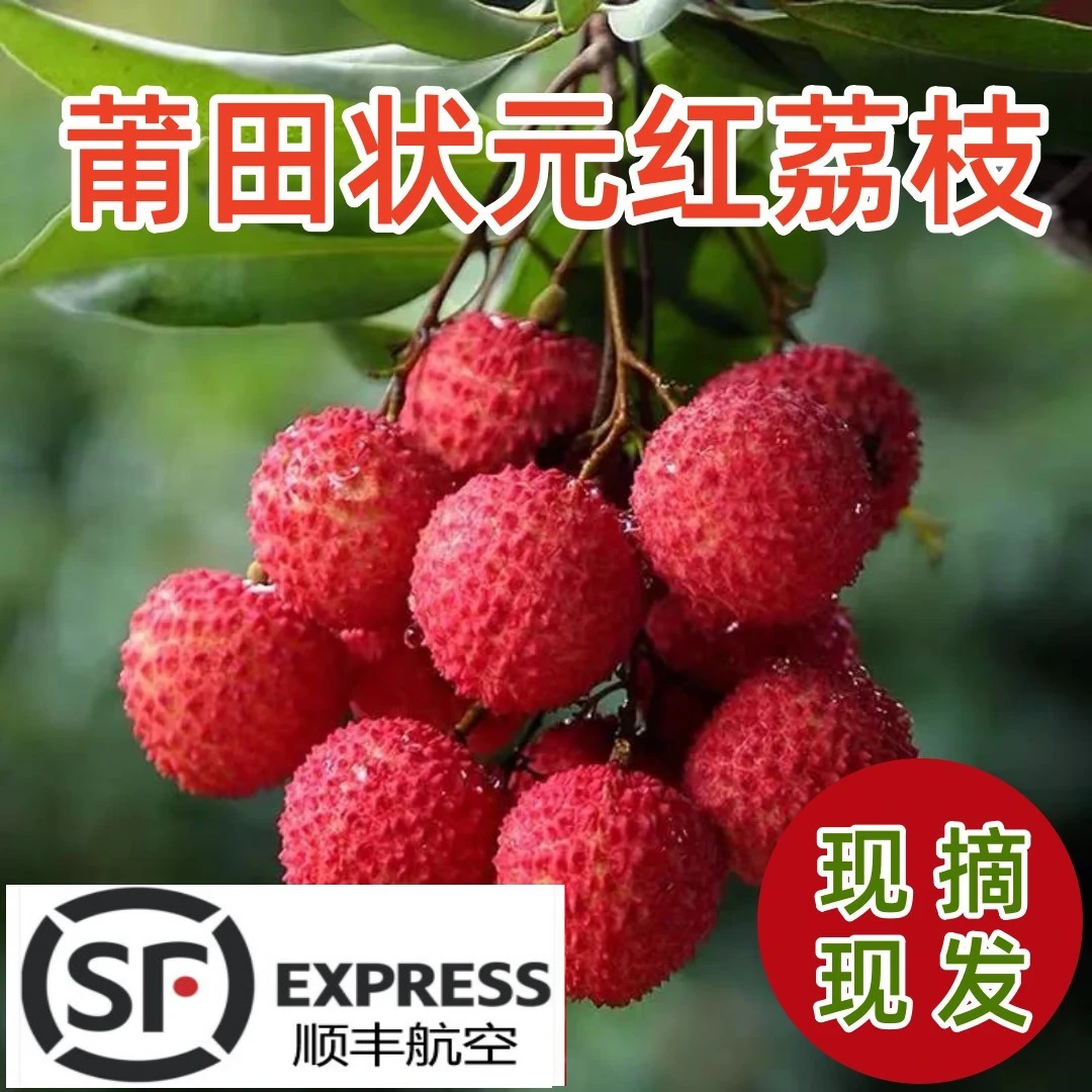 【闽B男团队推荐】莆田荔枝状元红荔枝装全国包邮