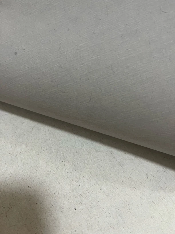 萃文轩宣纸 定向链接