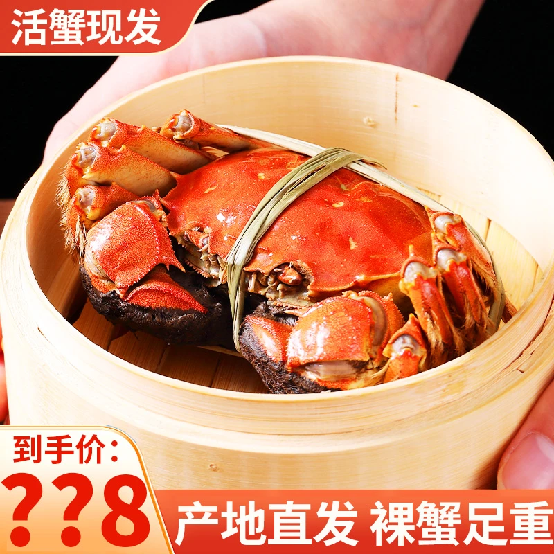 【活蟹】公蟹5两4只+母蟹4两4只 共8只礼盒装顺丰包邮国庆送礼Z