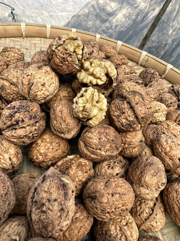 四川阿坝州高山核桃 干核桃5斤装