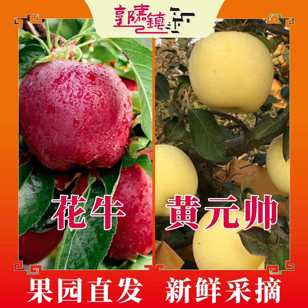 【限量花牛黄元帅混装】当季新鲜产地整箱包邮直发