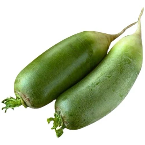 东北大绿箩卜5斤包邮