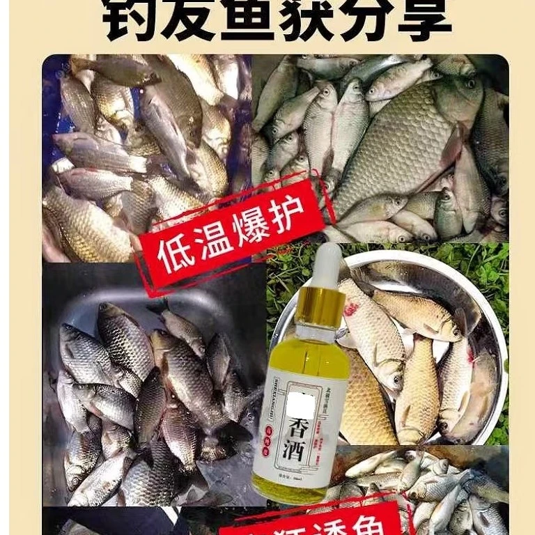 香酒诱鱼剂四季通用鲫鱼草鱼鲤鱼添加剂