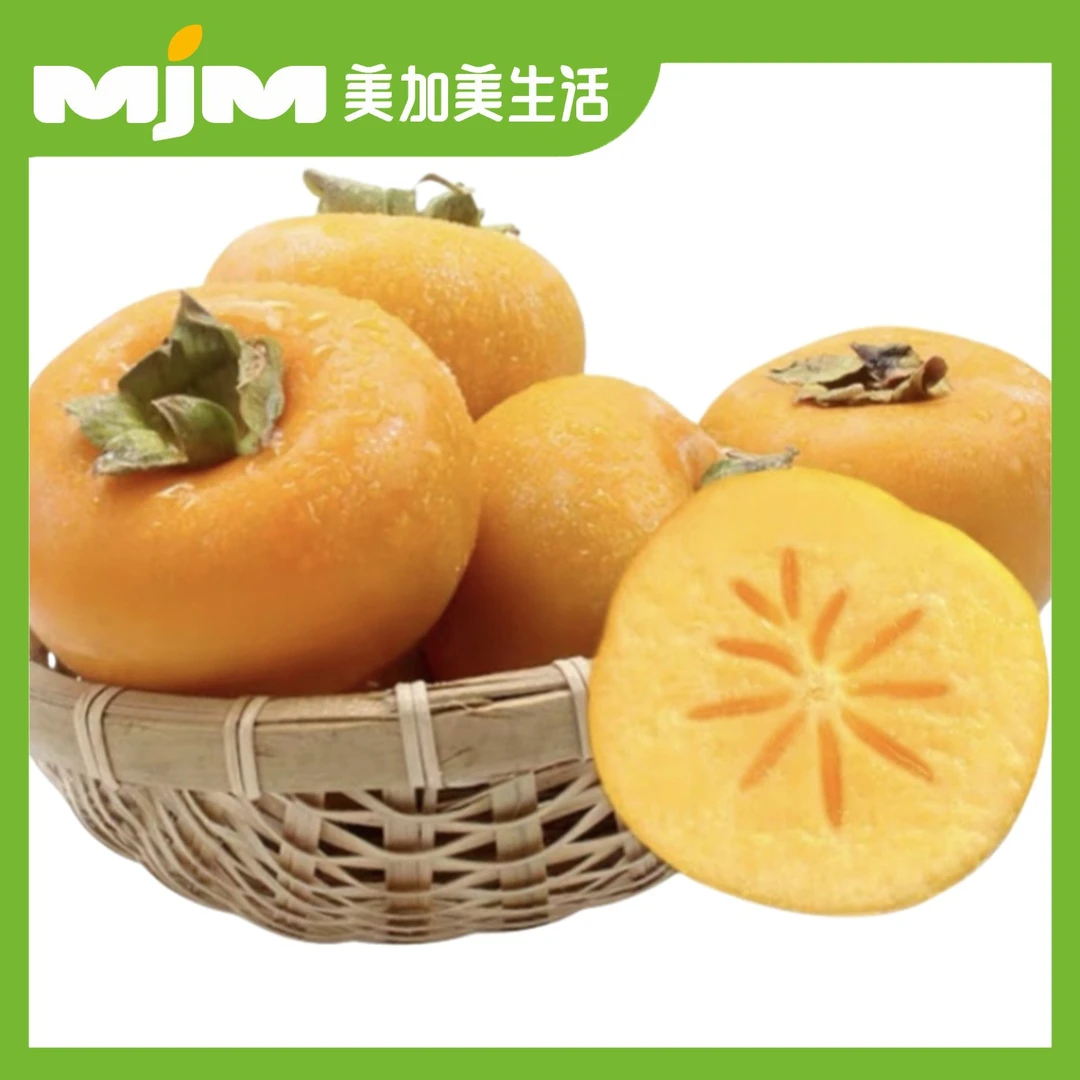 【2斤±30g/份】桂林脆柿（大果）