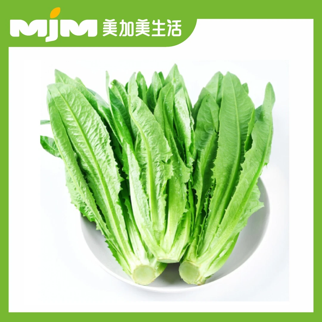 返野生油麦菜500g