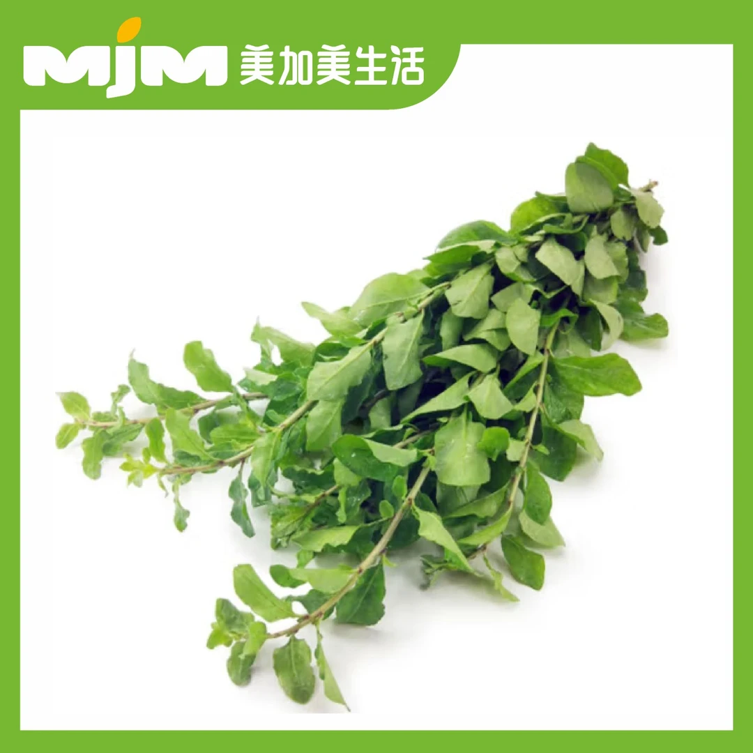 枸杞叶500g