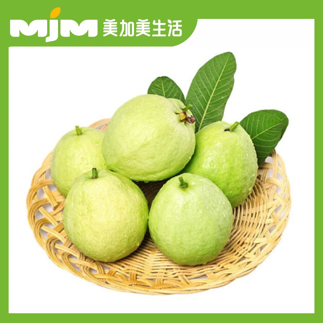 【2斤/份】奶油白心芭乐