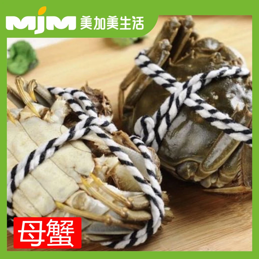 【5只】母蟹（约1.8-2.0两）江苏大闸蟹活蟹蟹同城配送