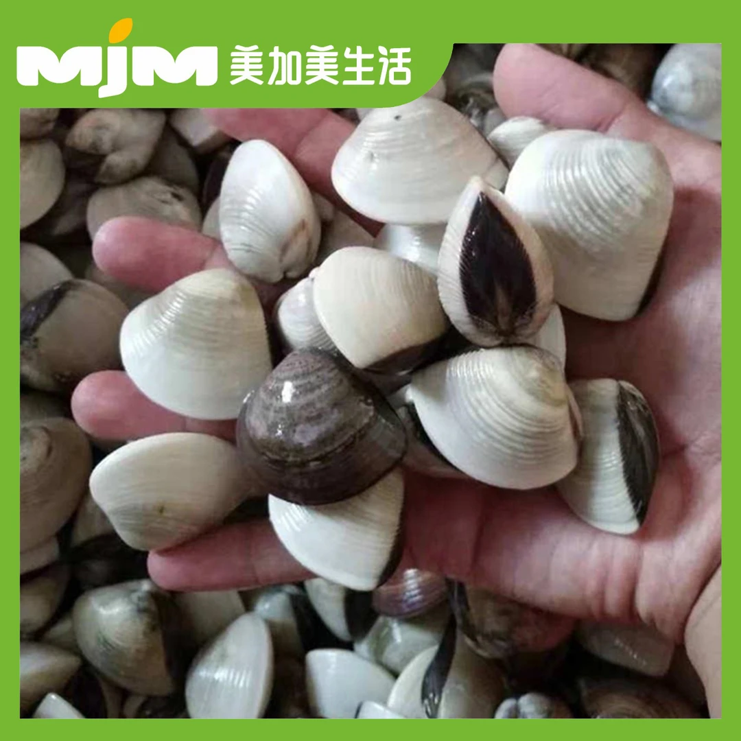【500g/份】小白螺