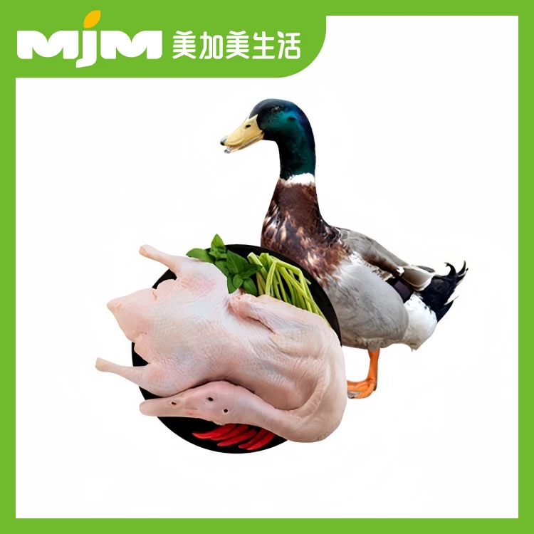 【半只】120天青头鸭（杀好约1.7-1.9斤）默认不砍，需帮砍请下单备注鸭肉同城配