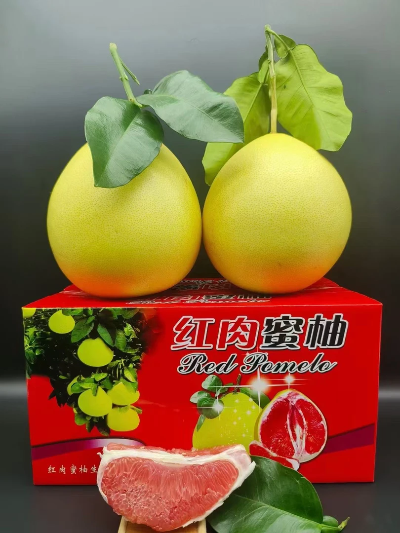梅州红心柚子红心柚蜜中秋送礼正宗梅县特产新鲜水果包邮金柚碌柚