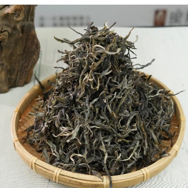 【临时链接】琅邦2020年老班章64号古树散茶