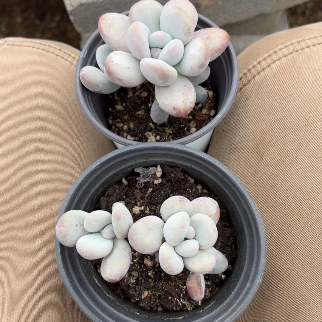 1111111111111111111111