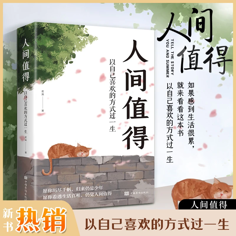 人间值得 用自己喜欢的方式过一生 愿你历尽千帆归来仍是少年书籍