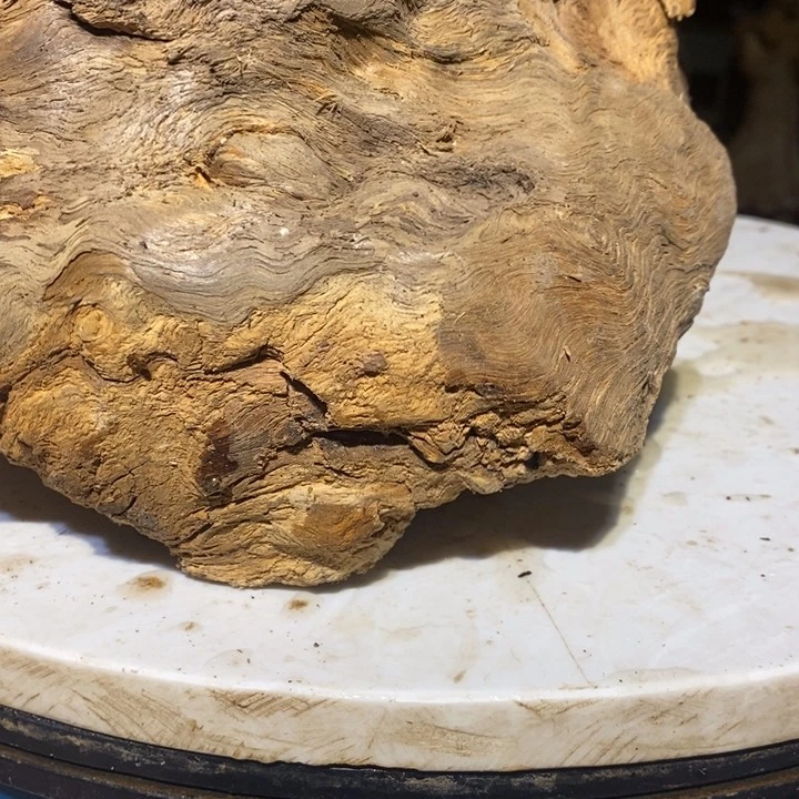 信*我们都是你的粉丝51