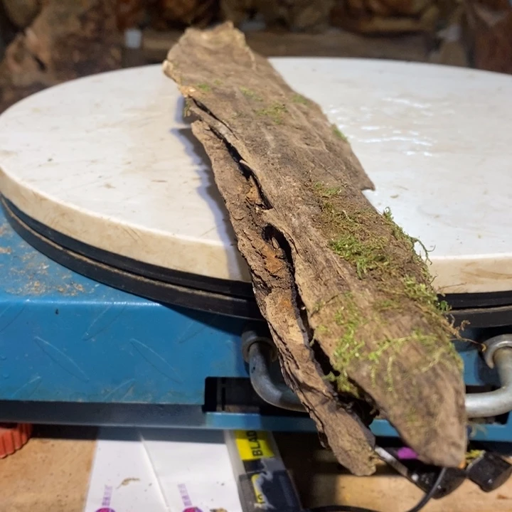 玉***艺我们都是你的粉丝97