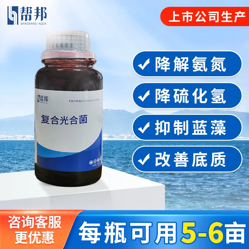 复合光合菌-帮邦水产-降氨氮亚盐，无需扩培