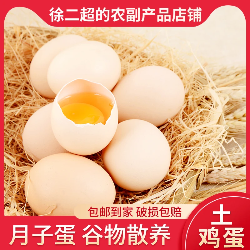 新鲜散养土鸡蛋柴鸡蛋农家健康好吃鲜美味家用笨鸡草鸡蛋料理食材