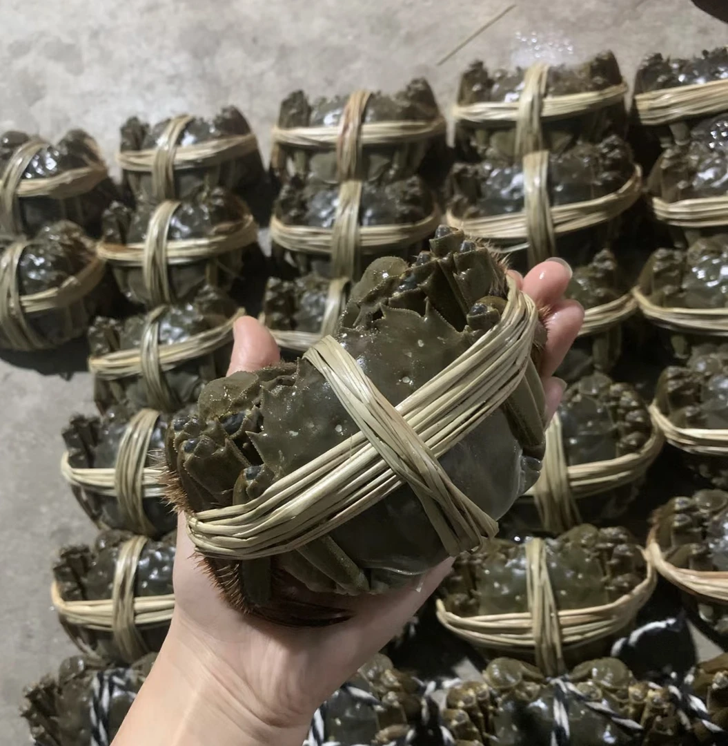 4两精品公蟹一只