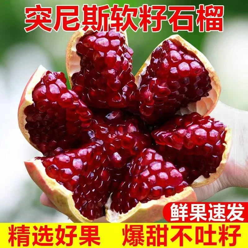 四川石榴会理突尼斯软籽果饱满爆汁新鲜水果单果200-300g带箱5斤