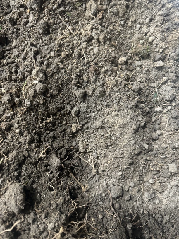 绿植通用土 黄杨专用土