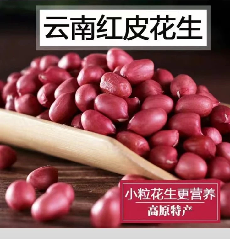 云南山区红皮花生米300克