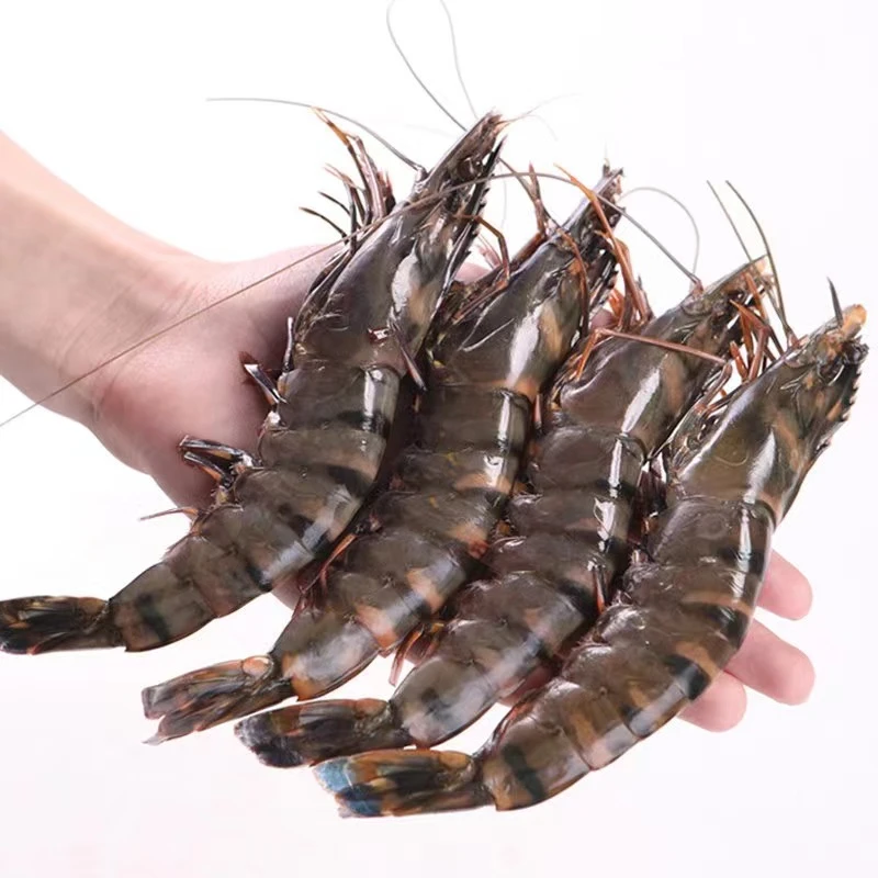 S青岛当地野生大大号黑虎虾一斤8-10只，4斤32-40只，活虾速冻顺丰