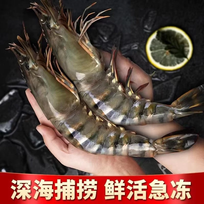 孙15/20规格大大号黑虎虾一斤8-10只，4斤32-40只，单只18cm以上