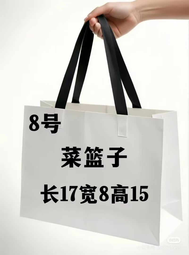 A 008 经典百搭 菜篮子包 8119