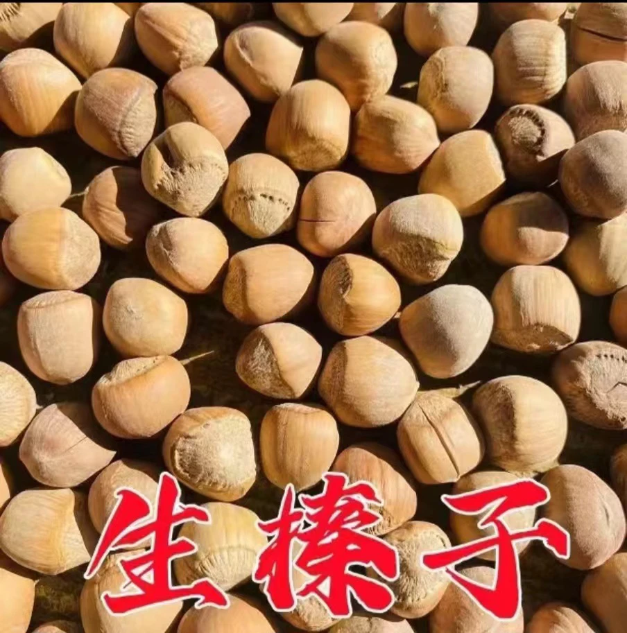 2024年山榛子生榛子