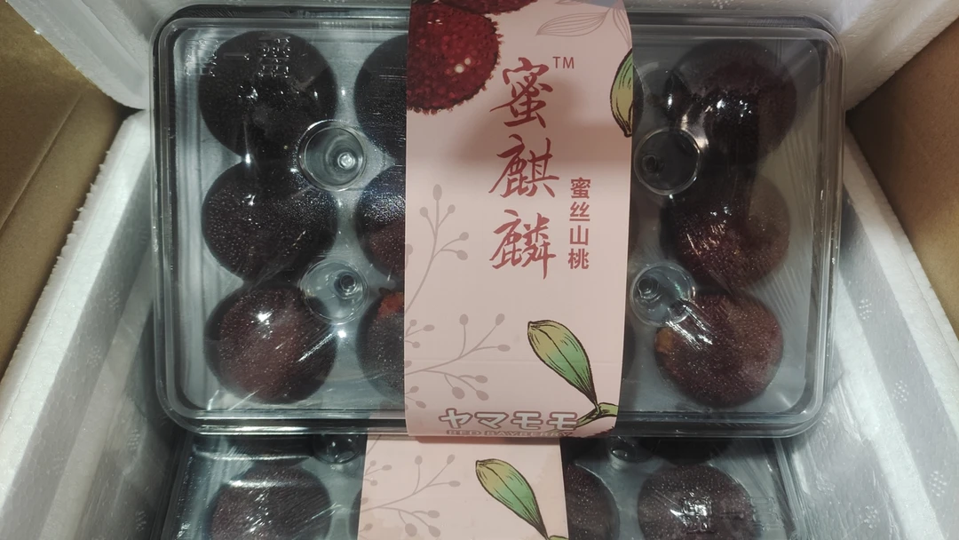 蜜麒麟 东魁大杨梅多规格3盒净重1.5斤左右起拍