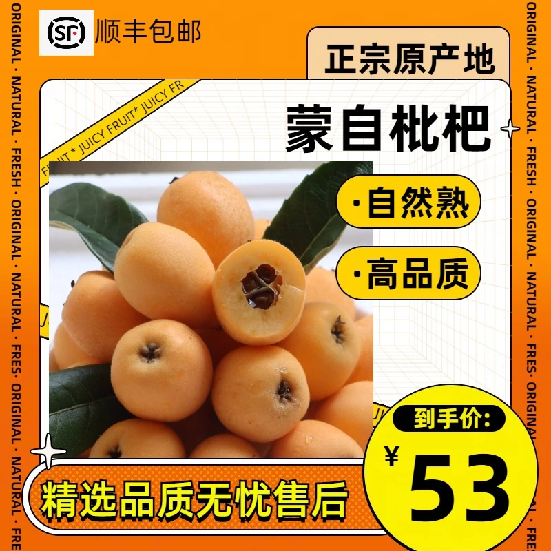 【顺丰包邮】云南蒙自枇杷解放钟，长虹新鲜采摘产地直发孕妇水果